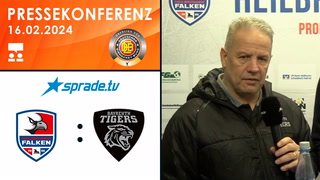 16.02.2024 - Pressekonferenz - Heilbronner Falken vs. Bayreuth Tigers